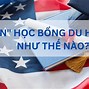 Học Nha Sĩ Tại Mỹ Cần Những Gì 2024