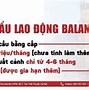 Xuất Khẩu Lao Đông Anh Quốc 2024 Cần Những Gì